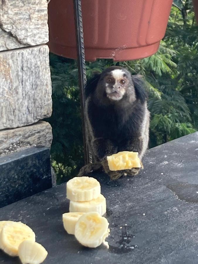 O Chale Mais Bucolico De Araras. Vista Linda エクステリア 写真