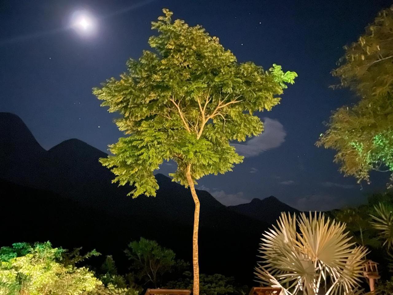 O Chale Mais Bucolico De Araras. Vista Linda エクステリア 写真